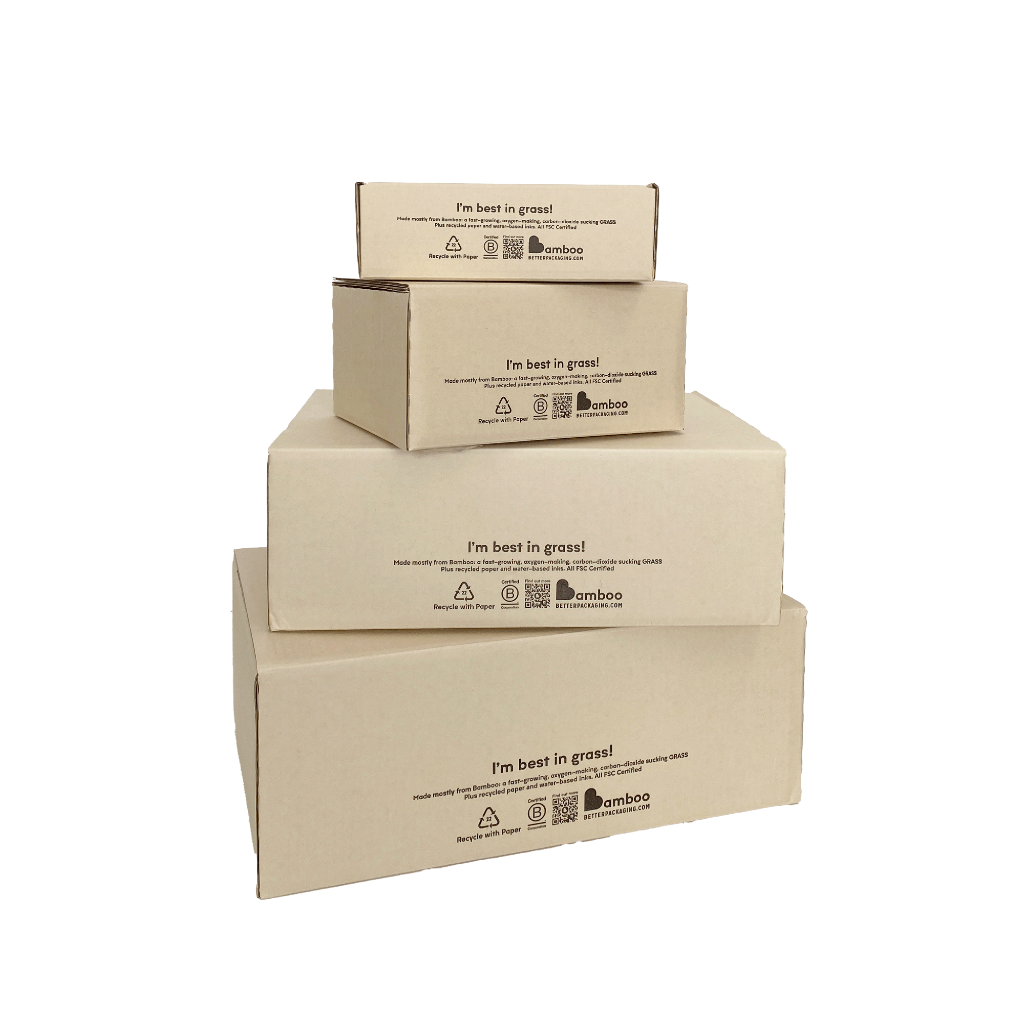 What is Bamboo Packaging Better Packaging Co