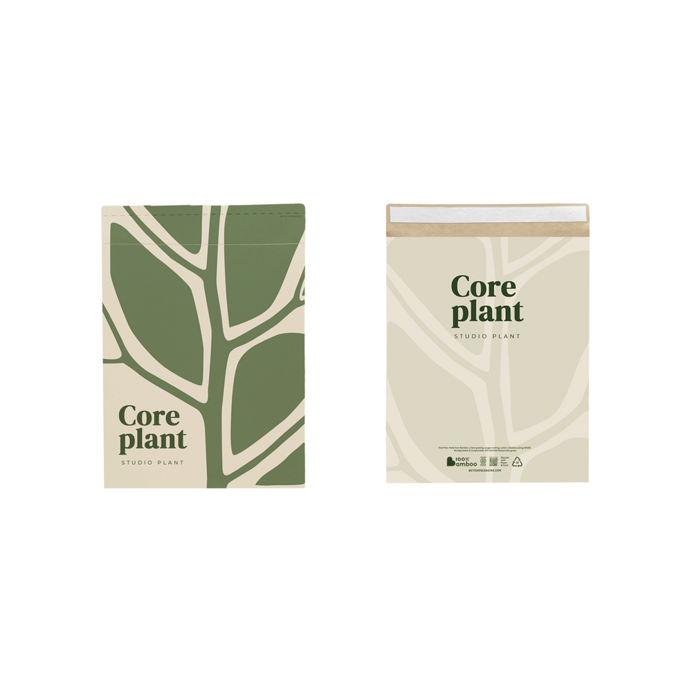 What is Bamboo Packaging Better Packaging Co