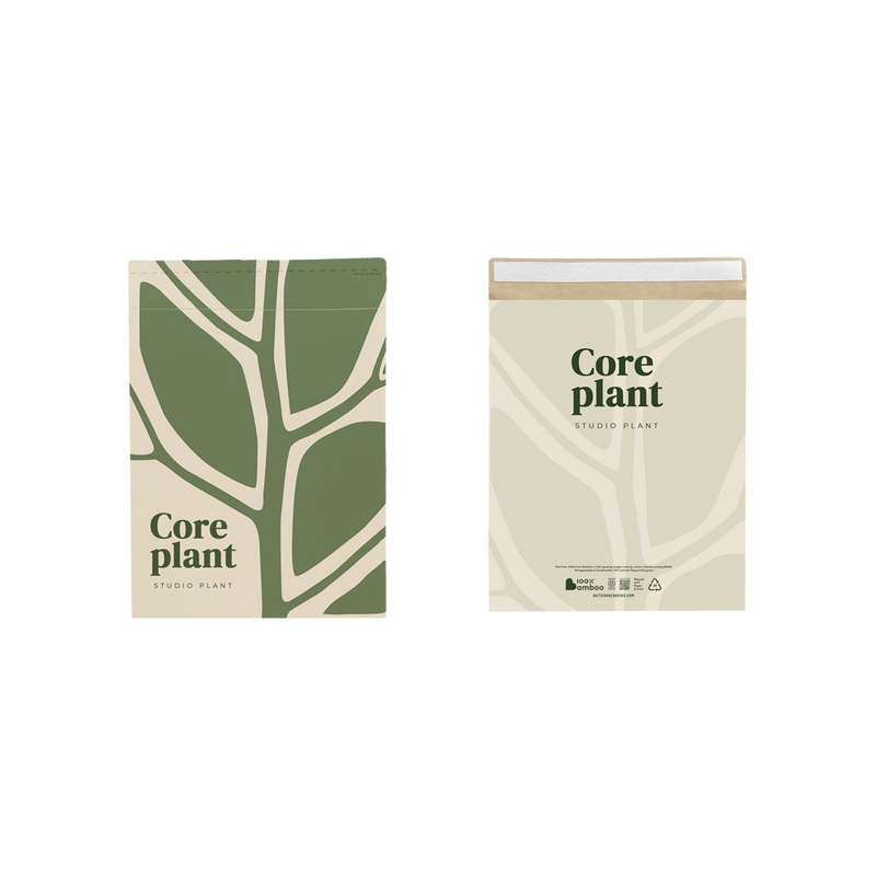 What is Bamboo Packaging Better Packaging Co