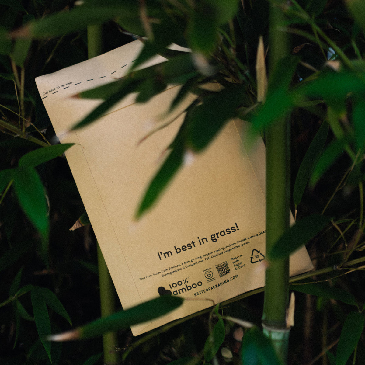 A Better Packaging brown bamboo envelope resting on bamboo shoots