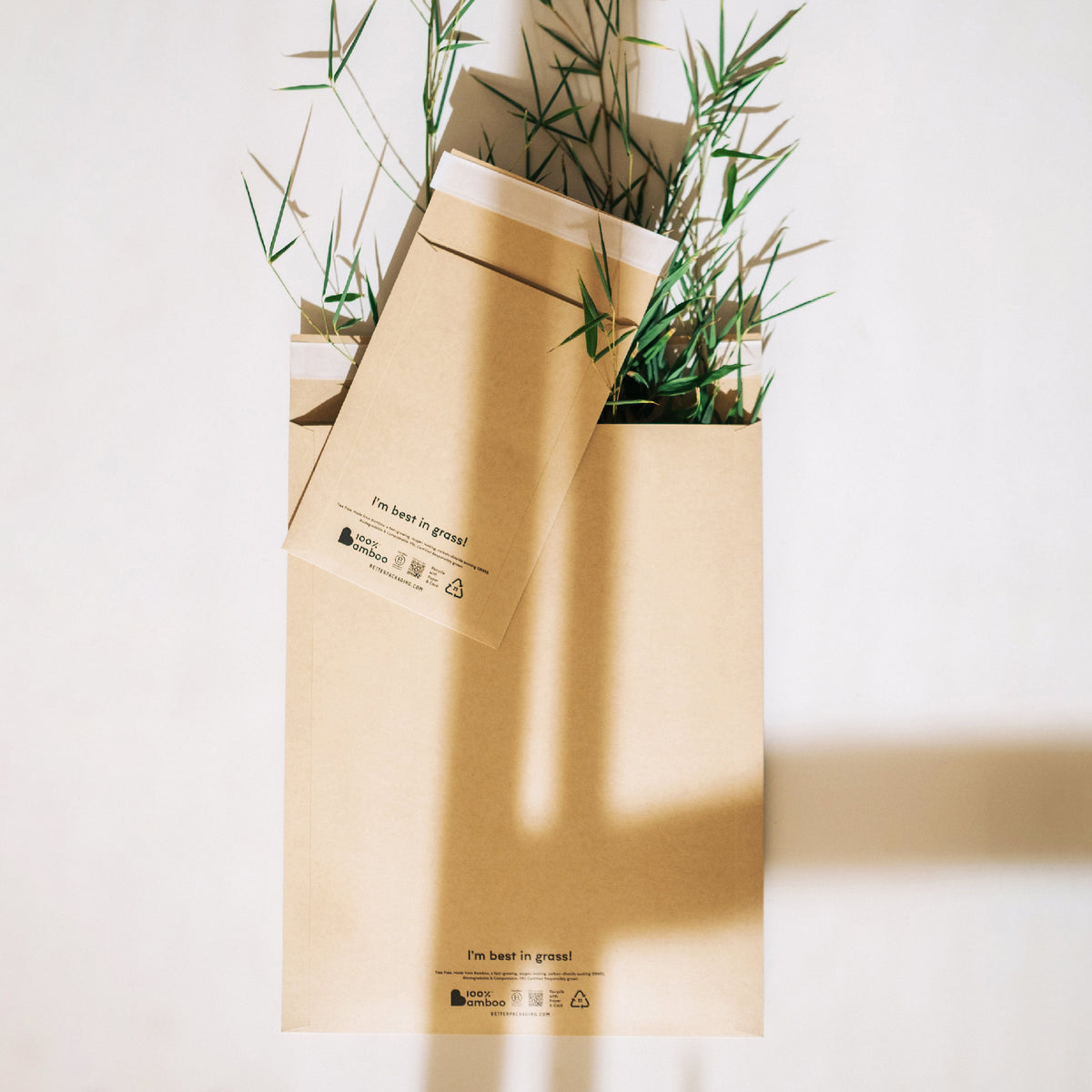 Flatlay of Better Packaging brown bamboo envelopes with bamboo leaves emerging from the opening